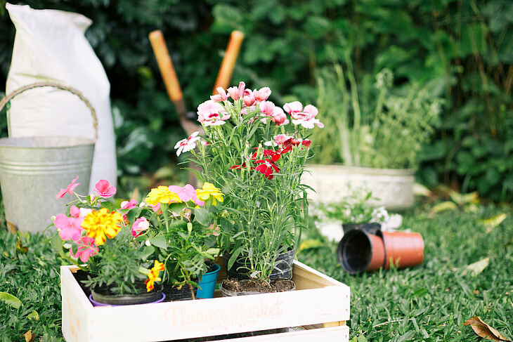 Aménager son petit jardin