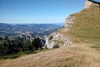 ARDDRO - VALENCE